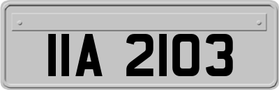 IIA2103