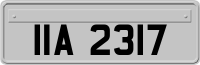IIA2317