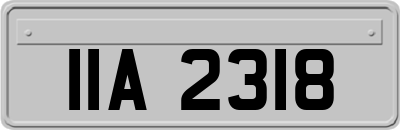 IIA2318