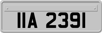 IIA2391