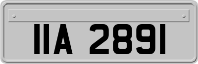 IIA2891