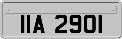 IIA2901