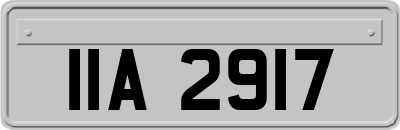 IIA2917