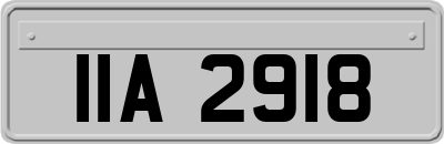 IIA2918