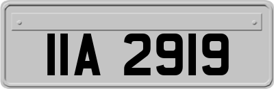 IIA2919