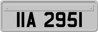 IIA2951