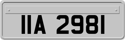 IIA2981