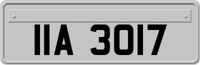 IIA3017