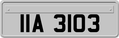 IIA3103