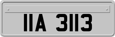 IIA3113