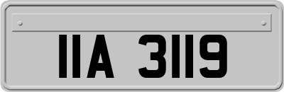 IIA3119
