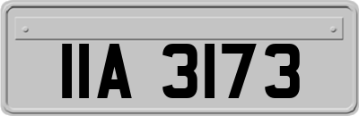 IIA3173