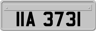 IIA3731