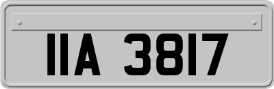IIA3817