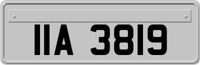 IIA3819