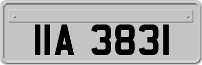 IIA3831
