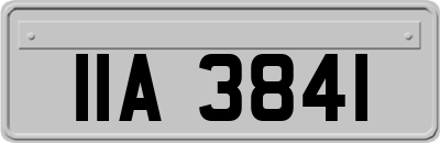 IIA3841