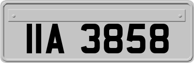 IIA3858