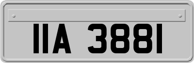IIA3881