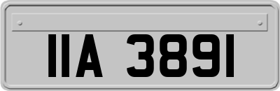 IIA3891