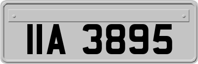 IIA3895