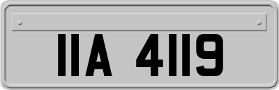IIA4119