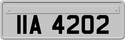 IIA4202