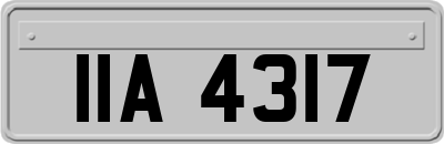 IIA4317