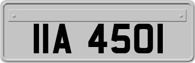 IIA4501