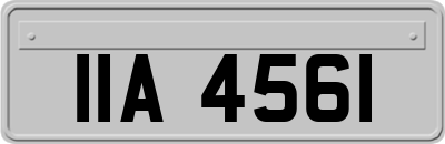 IIA4561