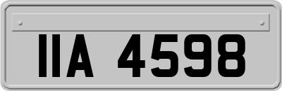 IIA4598