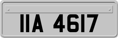 IIA4617
