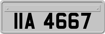 IIA4667