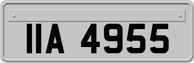 IIA4955