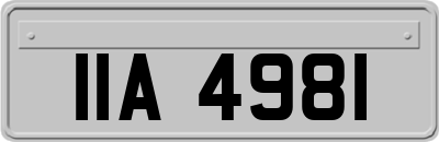 IIA4981