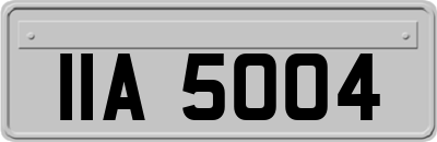 IIA5004