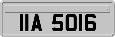 IIA5016