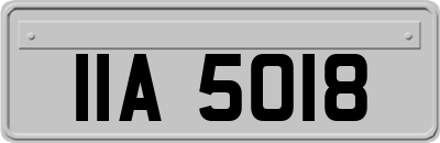 IIA5018