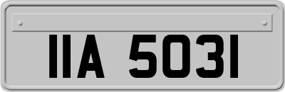 IIA5031