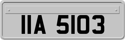 IIA5103