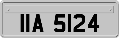 IIA5124
