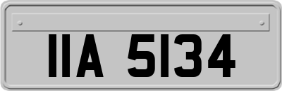IIA5134