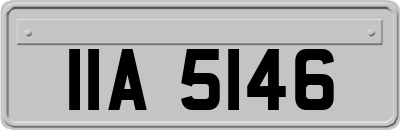 IIA5146