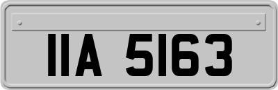 IIA5163