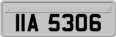 IIA5306