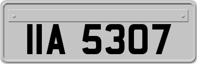 IIA5307