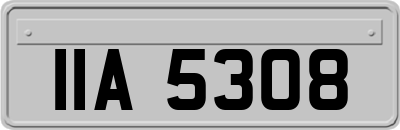 IIA5308