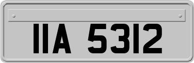 IIA5312