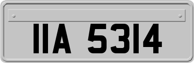 IIA5314