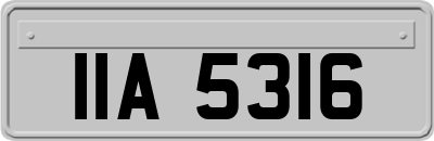 IIA5316